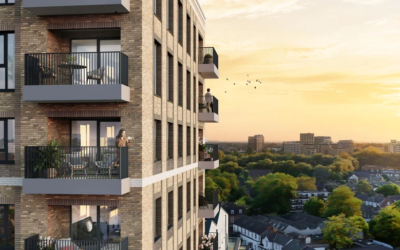 What You Should Know About HMO Regulations